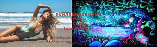 крисы Абинск