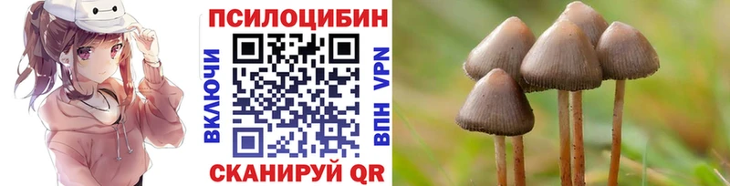 Псилоцибиновые грибы Cubensis  купить наркоту  Туапсе 